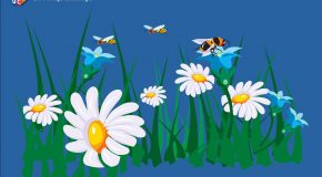 Biodiversité : comment attirer les pollinisateurs dans son jardin